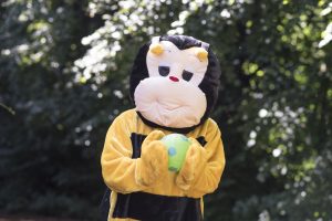 Bumblebee Sport Gallery Pic 08