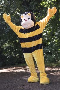 Bumblebee Sport Gallery Pic 07