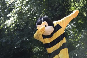 Bumblebee Sport Gallery Pic 05