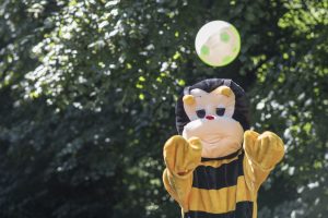 Bumblebee Sport Gallery Pic 03